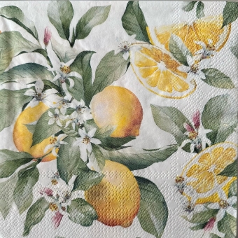 Guardanapo Estampado para decoupage