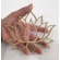 Mandalas Decorativas p/ Apliques ou Parede MDF Cru - Flor de Lotus Aberta 15cm