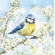Guardanapo Estampado para decoupage
