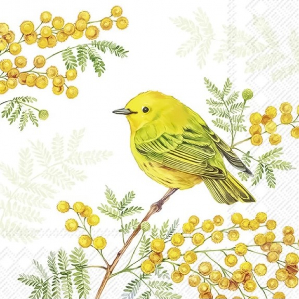 Guardanapo Estampado para decoupage