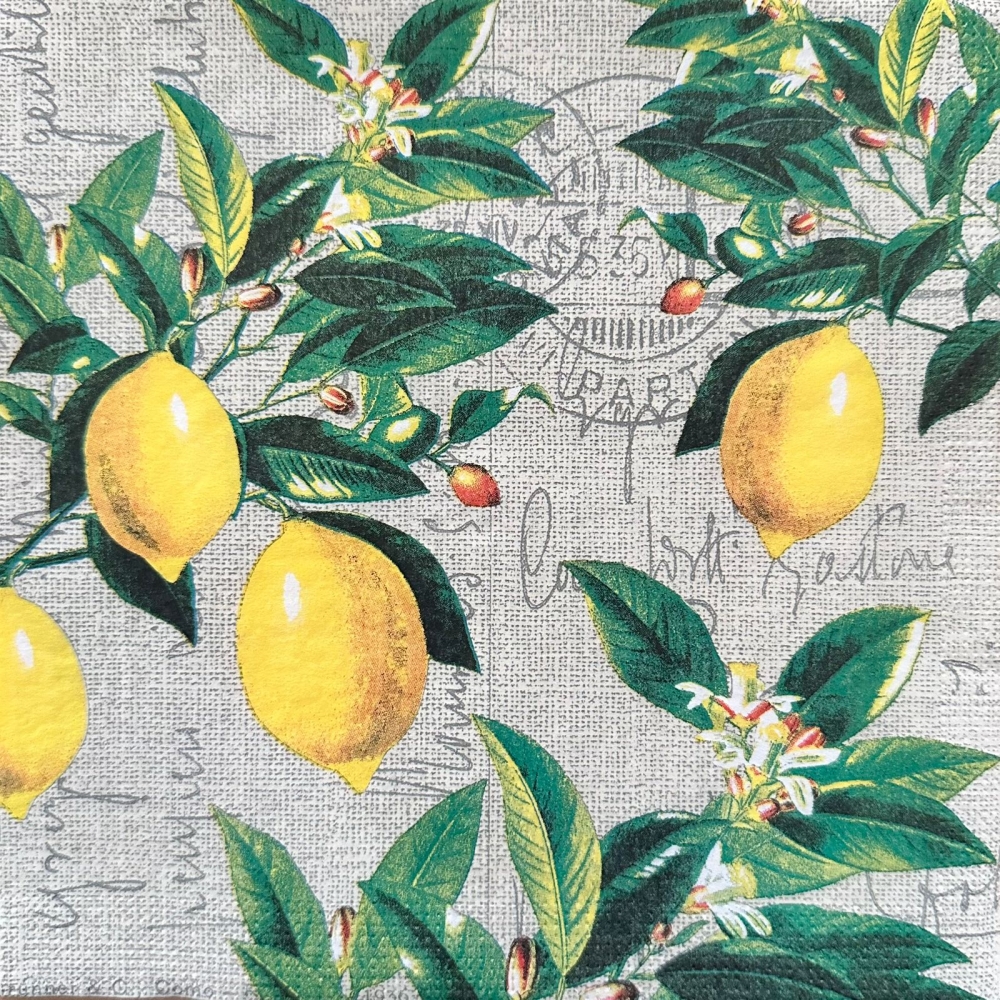 Guardanapo Estampado para decoupage