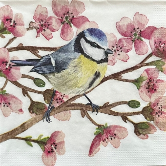 Guardanapo Estampado Passaros 01 para decoupage