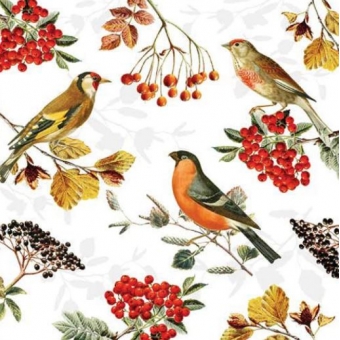 Guardanapo Estampado para decoupage