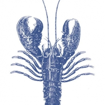 Guardanapo Estampado para decoupage