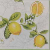 Guardanapo Estampado Laranjas para decoupage