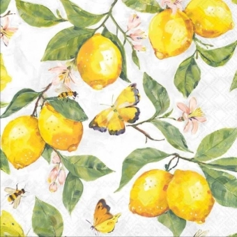 Guardanapo Estampado para decoupage