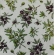 Guardanapo Estampado Azeitonas para decoupage