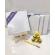 Kit 4 Telas Pintura 20x20 Mini Cavalete 6 Tintas e Pincel