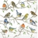 Guardanapo Estampado para decoupage