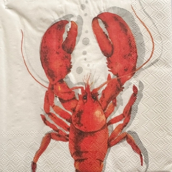 Guardanapo Estampado para decoupage