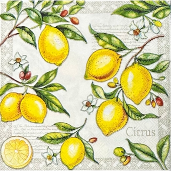 Guardanapo Estampado Limão para decoupage