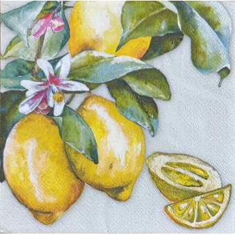 Guardanapo Estampado Frutas 01 para decoupage